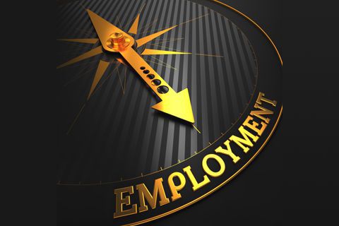 Employment for Businesses Link