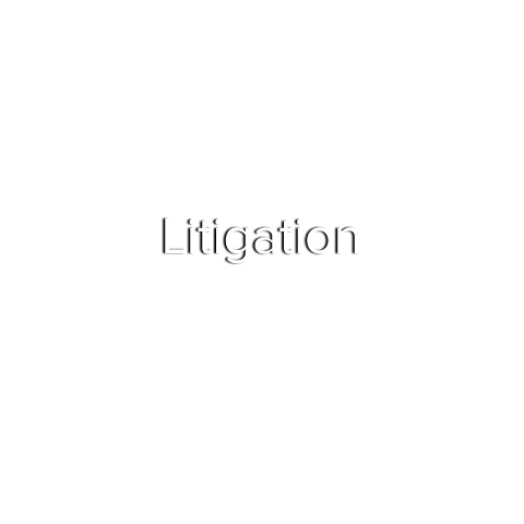 Litigation Text